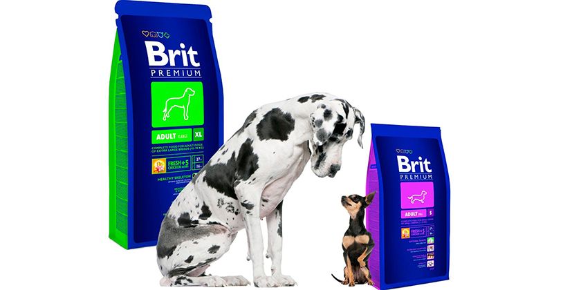 Aliments britanniques de qualité supérieure