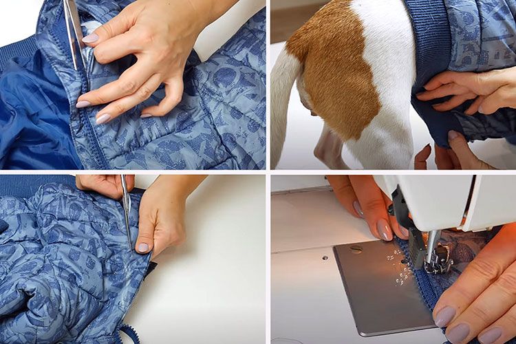 Coudre une salopette pour chien