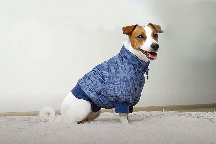 Essayer la combinaison finie