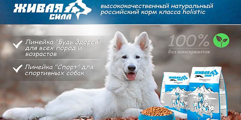 Nourriture pour chiens Living Force