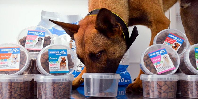 Ligne « Soyez en bonne santé »