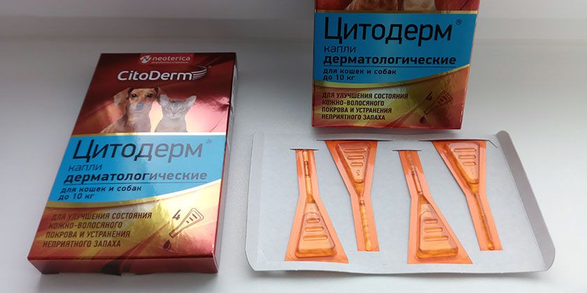 Conditionnement des gouttes Cytoderm