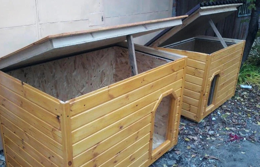 Cabine avec toit ouvrant