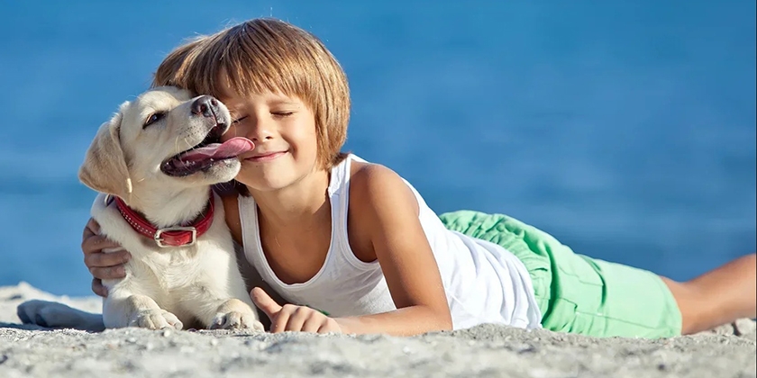 Un garçon avec un chiot Labrador
