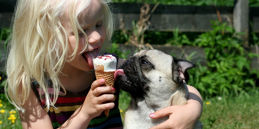Une fille et un carlin