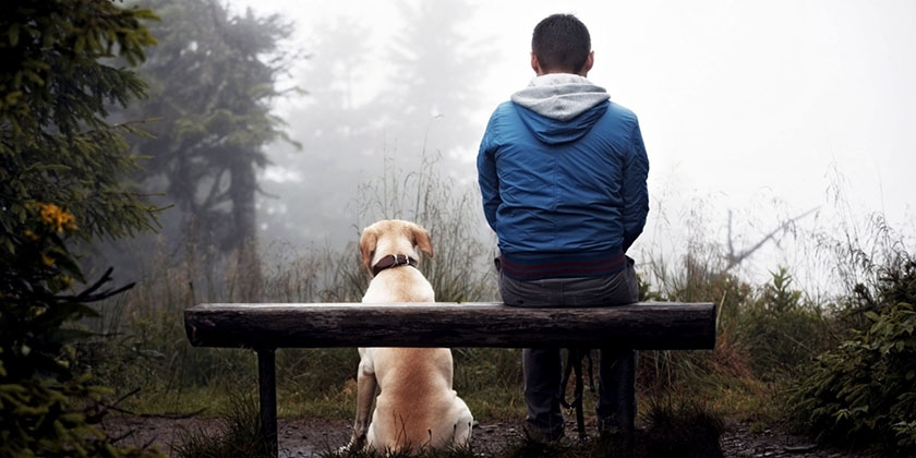 Chien avec son propriétaire