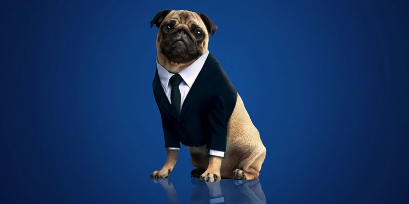 Le chien de Men in Black