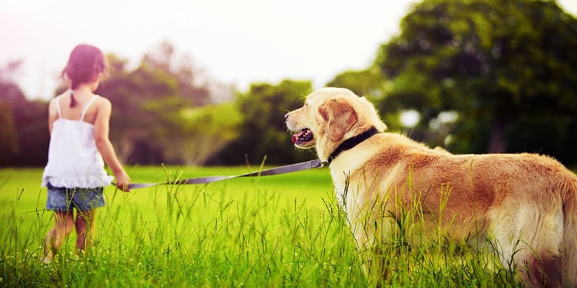 Un enfant et un chien