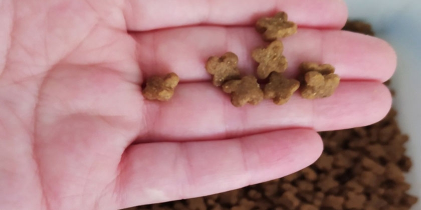 Nourriture sèche pour chiens Nau Fresh