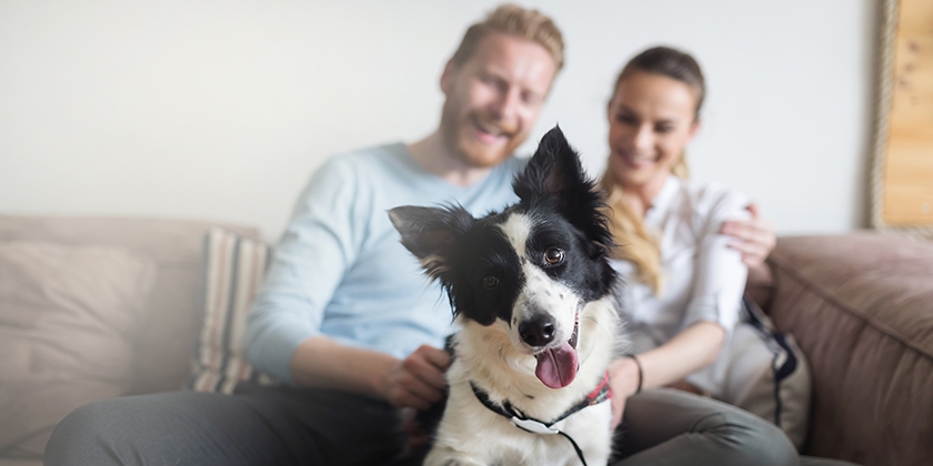 Un chien avec ses maîtres