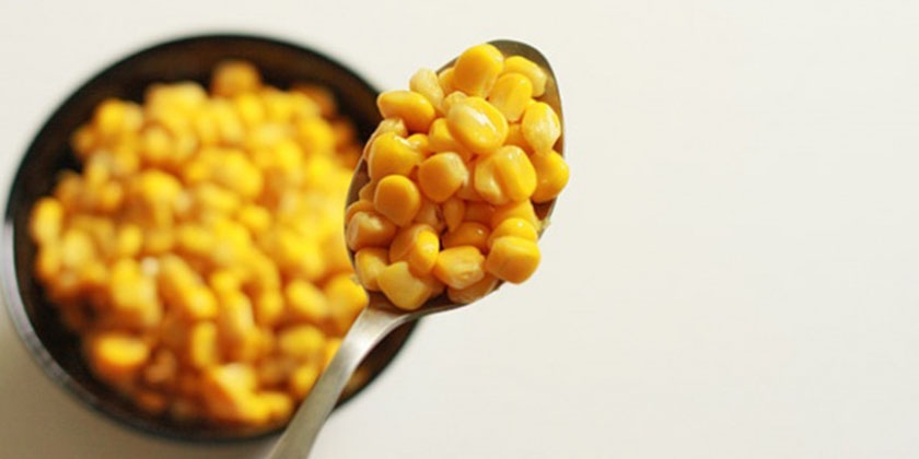 maïs en conserve