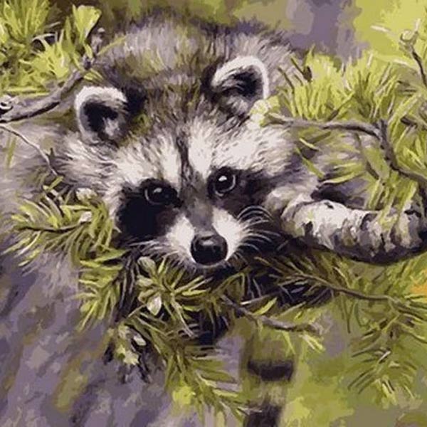 kak-narisovat-enota-6-3 Photo d'un raton laveur sur un sapin de Noël