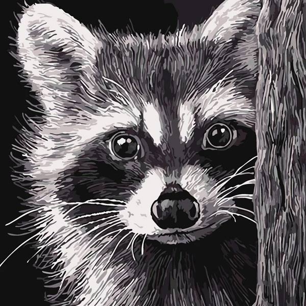 kak-narisovat-enota-6-4 Photo d'un raton laveur sur un arbre