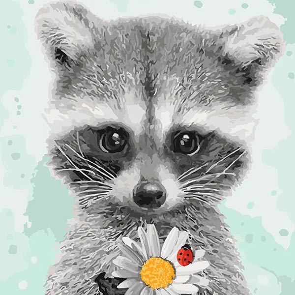 kak-narisovat-enota-6-6 Image d'un raton laveur avec une marguerite