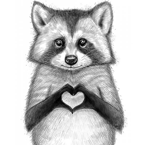 kak-narisovat-enota-6-8 Image d'un raton laveur et d'un cœur