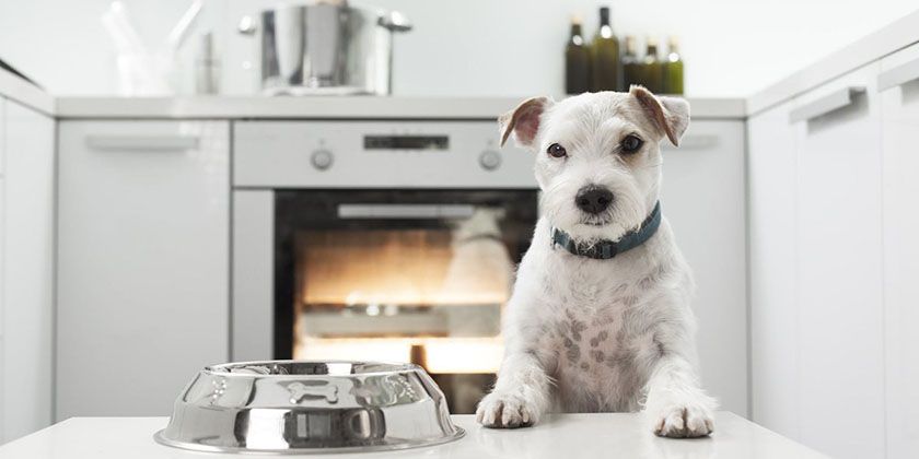Nourriture « Pour les plus dévoués »
