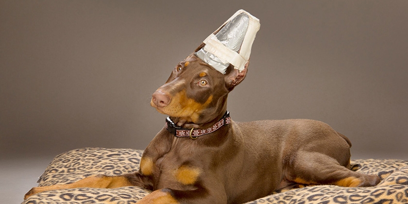 « Couronne » pour sertissage d'oreille