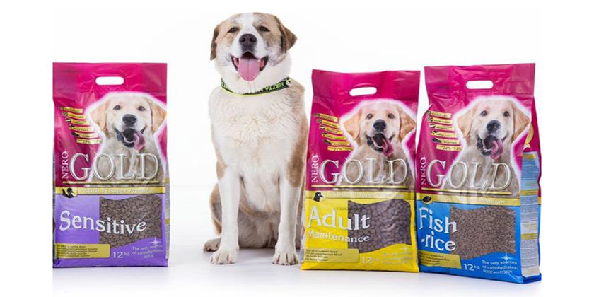 croquettes pour chien