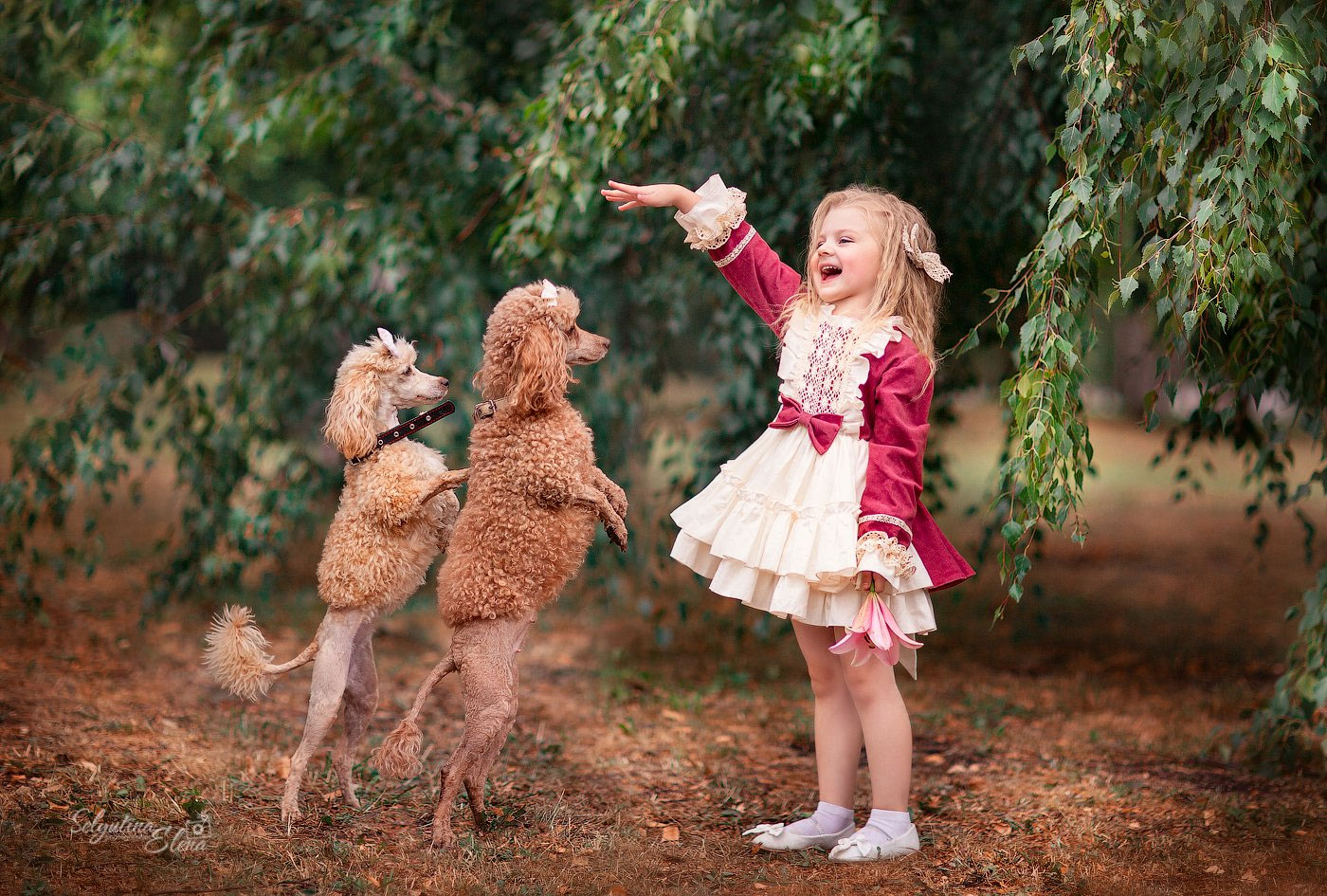 Races de chiens qui s'entendent bien avec les enfants