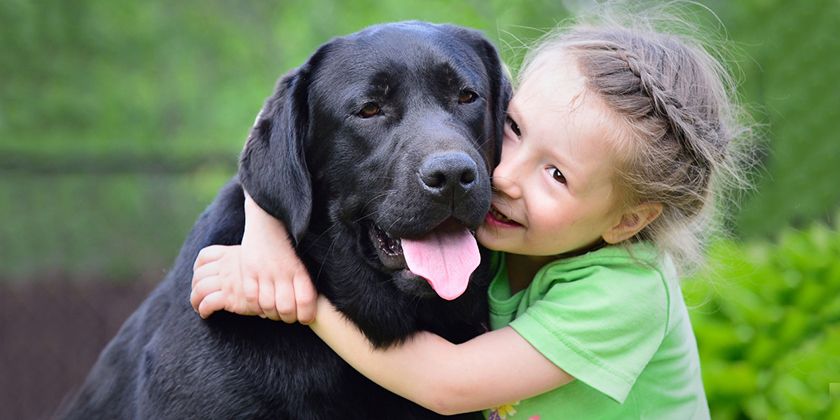Les chiens les plus faciles à vivre