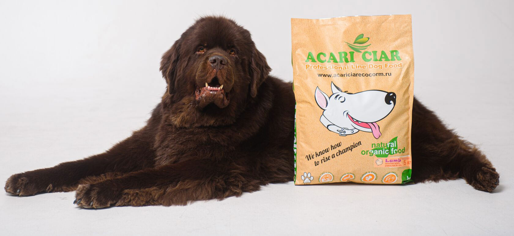 Nourriture pour chiens Acari Ciar