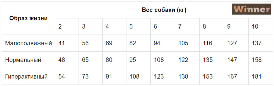 Conseils d'utilisation des croquettes Winner de Miratorg