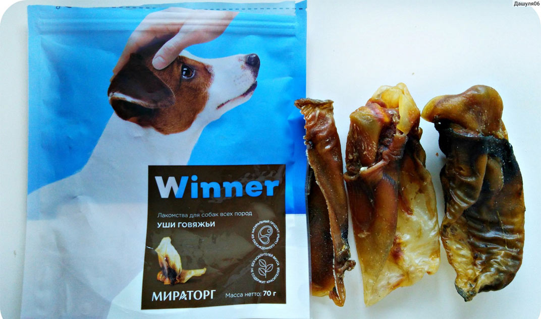 Friandises pour chiens gagnantes