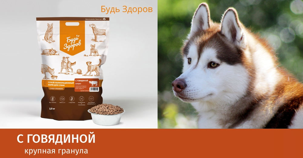 Mangez du bœuf pour être en bonne santé