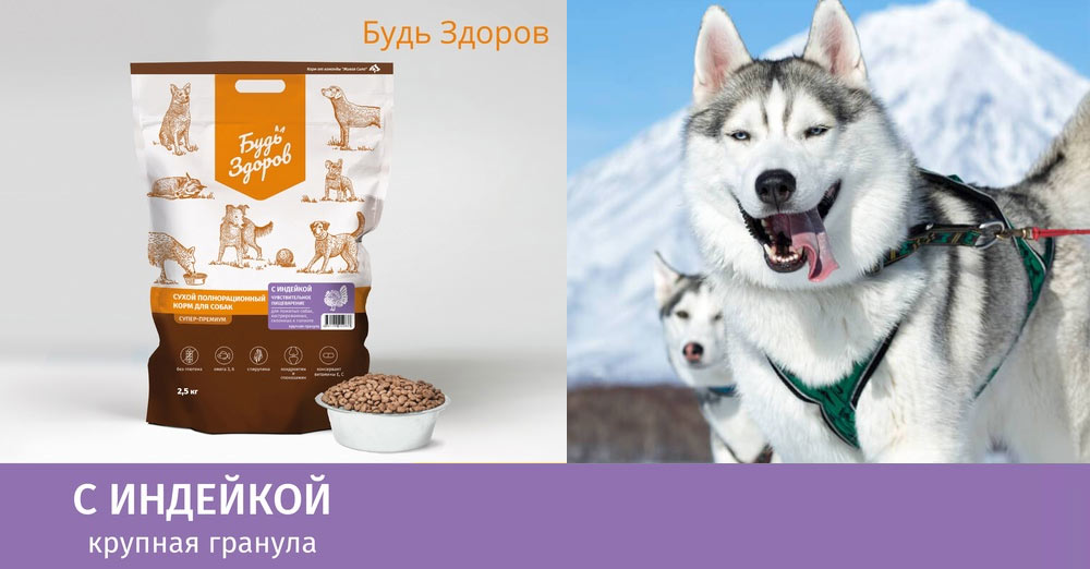 Mangez sainement avec de la dinde