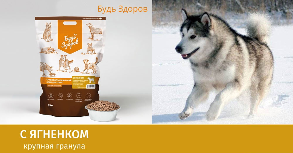 Mangez de l'agneau pour être en bonne santé !