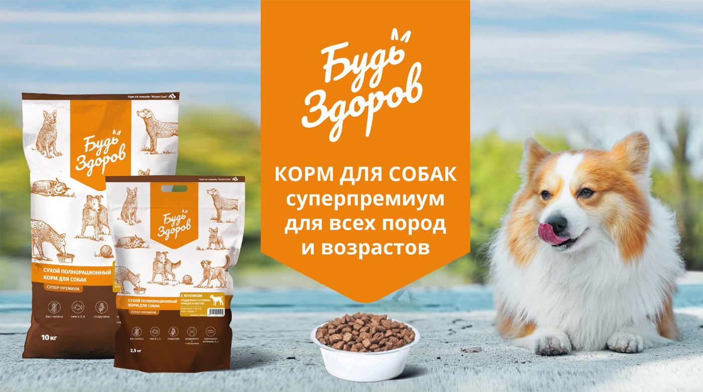 Les aliments doivent être sains