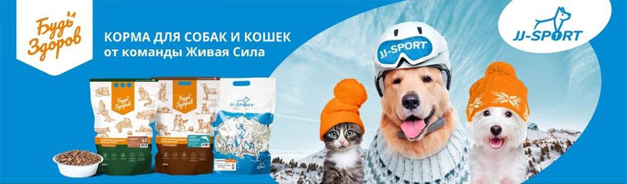 Nourrir la force vivante