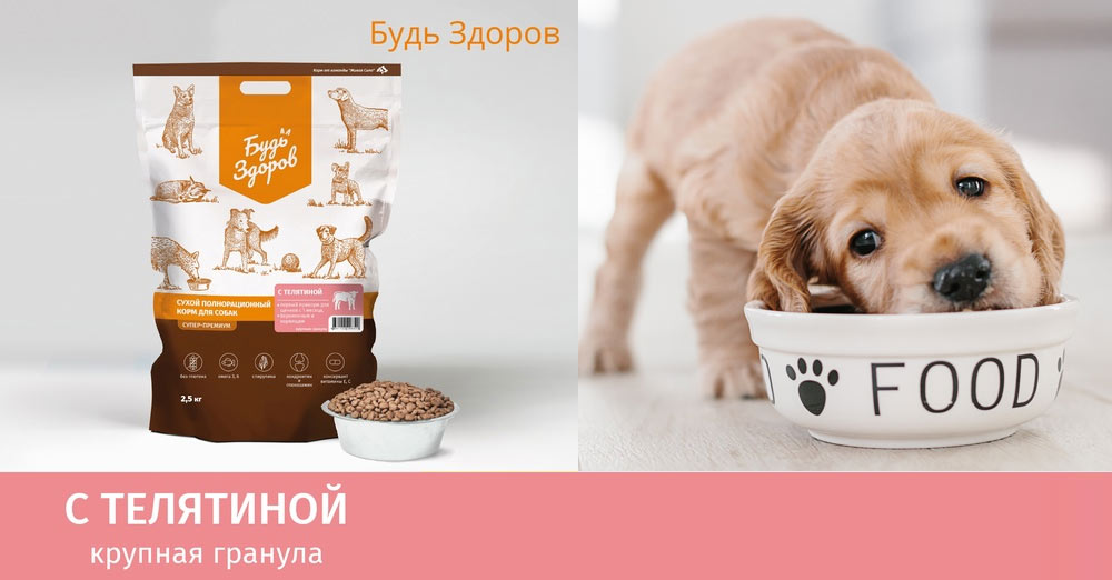 Mangez sainement avec du veau