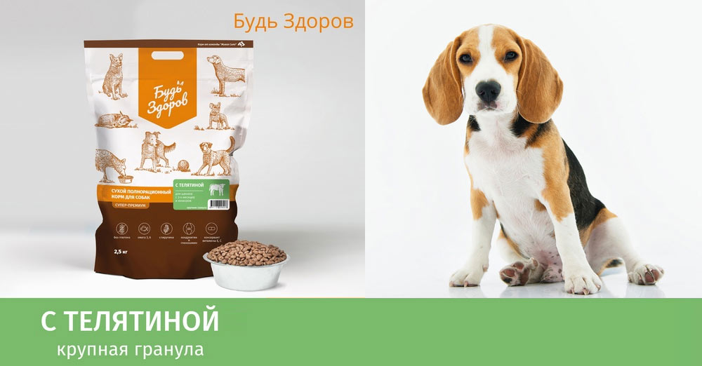 Mangez du veau en toute santé pour les juniors