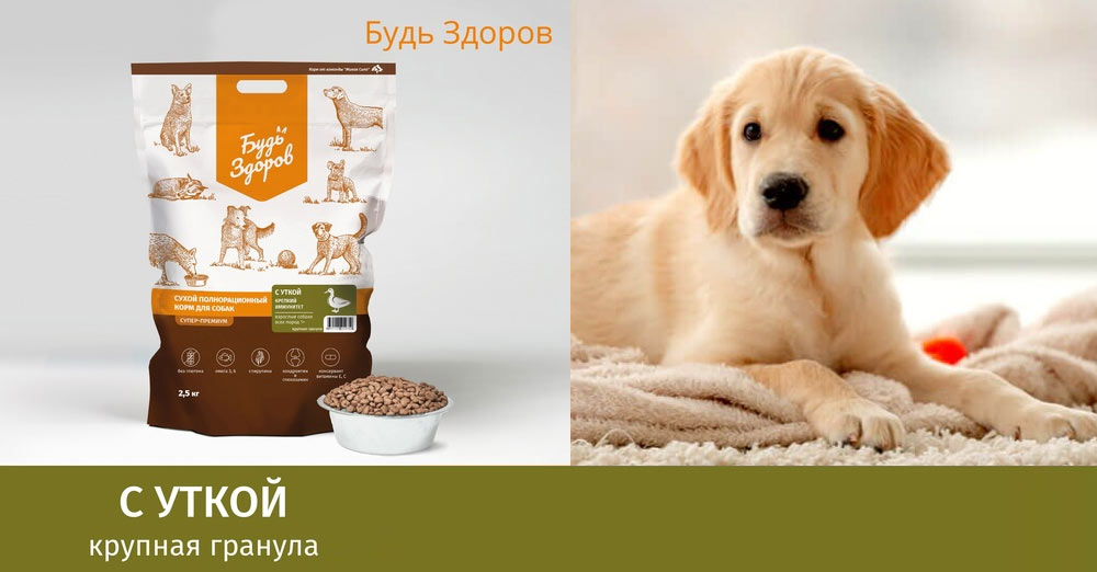 Restez en bonne santé grâce à la nourriture pour canards