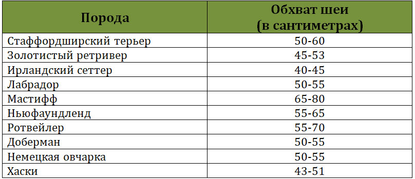 Tableau des tailles de colliers pour chiens de grandes races