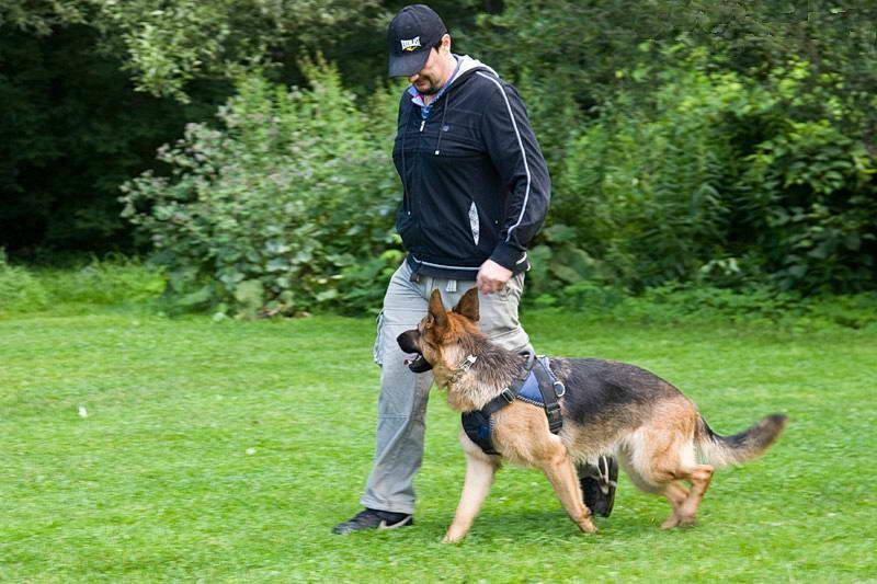 Comment pratiquer la commande «nearby»