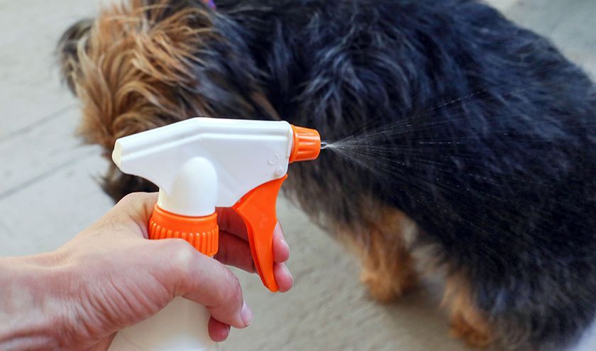Sprays pour chiens