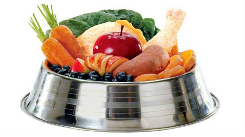 Légumes pour chiens