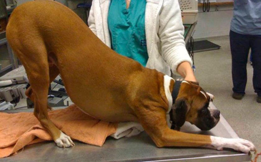 pose de « prière »