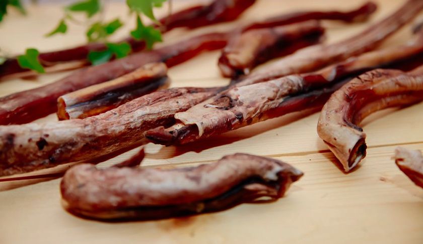 Racine de taureau séchée