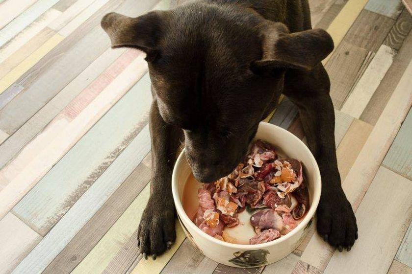 Aliments naturels pour chiens