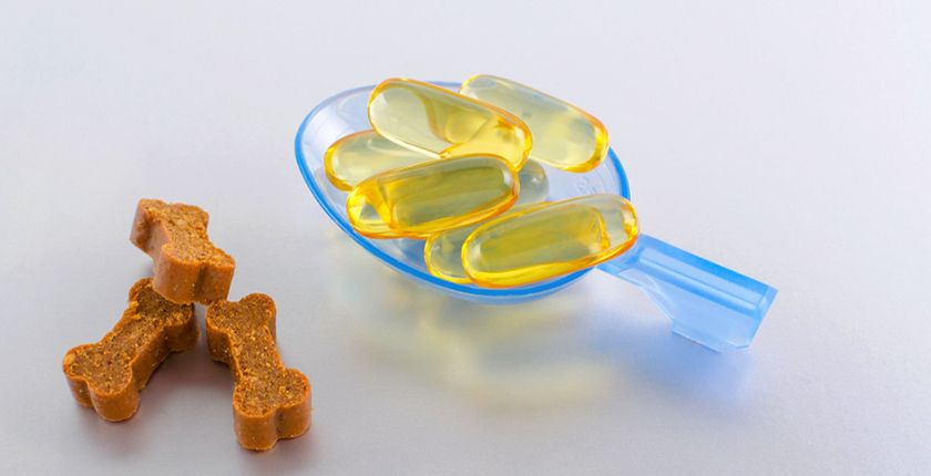 capsules d'huile de poisson