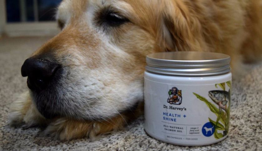 Huile de poisson pour chiens