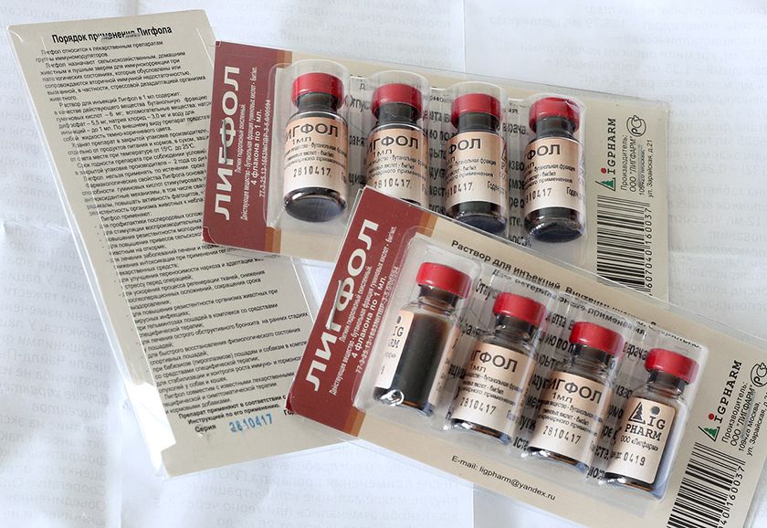 Le médicament Ligfol