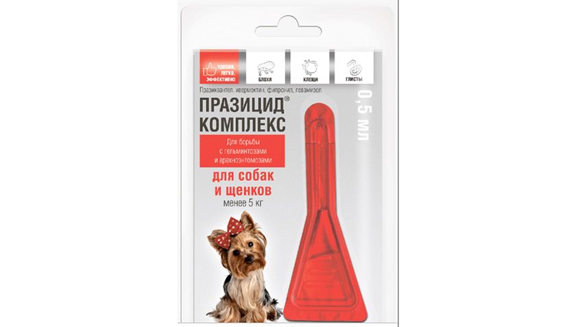 Prazicide pour petits chiens