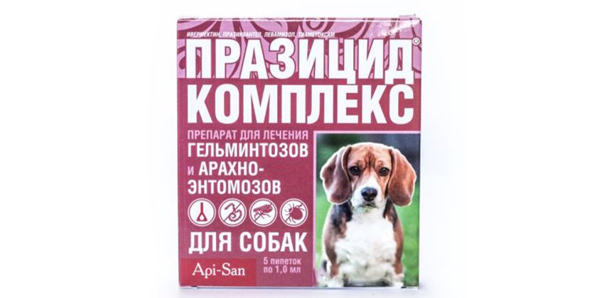 Complexe prazicide pour chiens