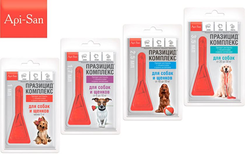 Prazicide pour chiens