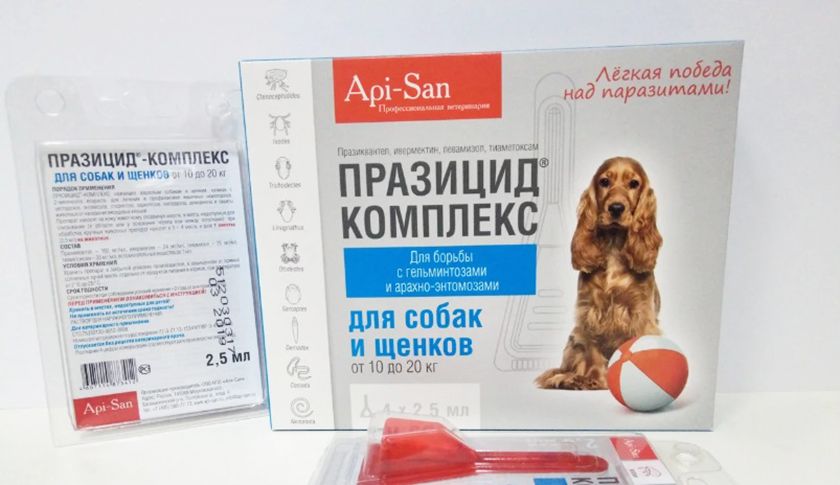 gouttes de praziquantel