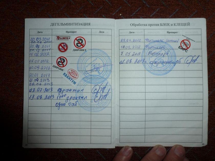 passeport vétérinaire